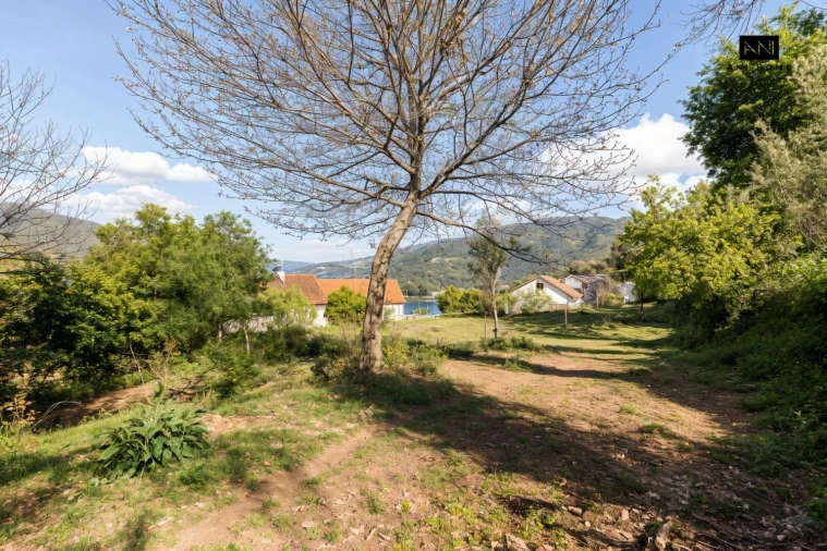 Terreno para Venda em Rio Caldo Foto 16