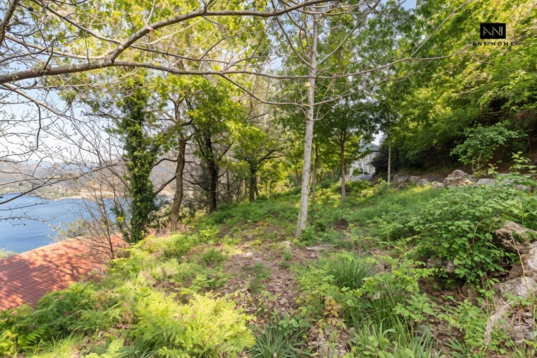 Terreno para Venda em Rio Caldo Foto 7