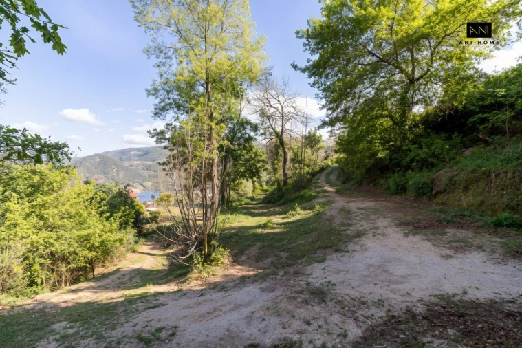 Terreno para Venda em Rio Caldo Foto 15
