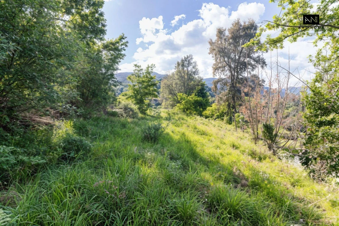 Terreno para Venda em Rio Caldo Foto 9