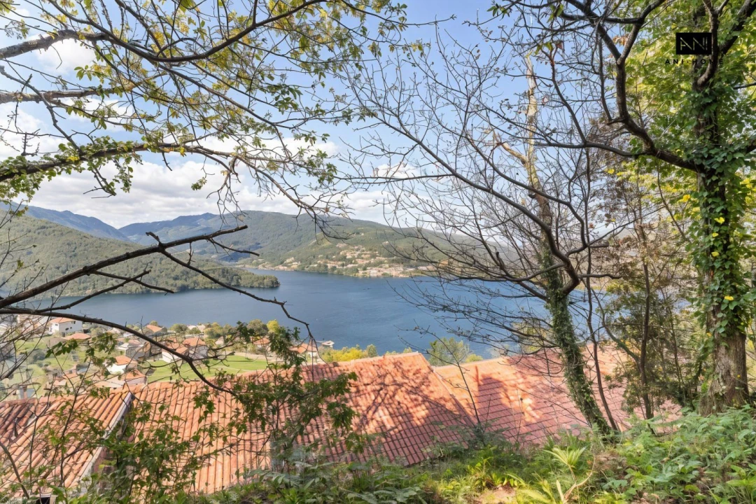 Terreno para Venda em Rio Caldo Foto 8
