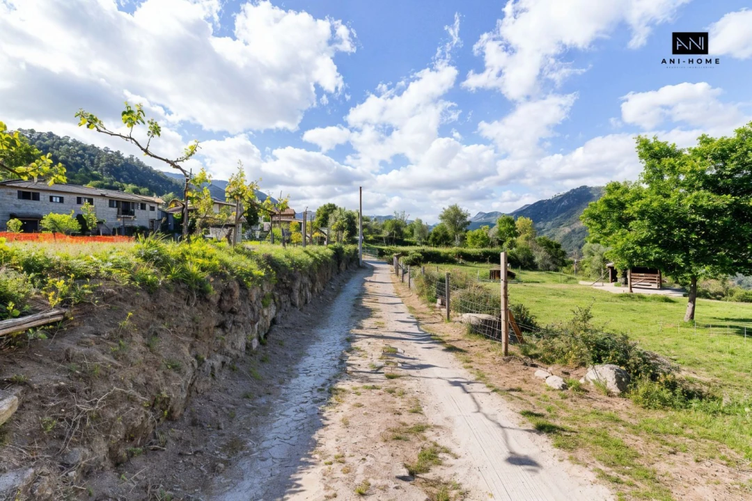 Terreno para Venda em Rio Caldo Foto 10