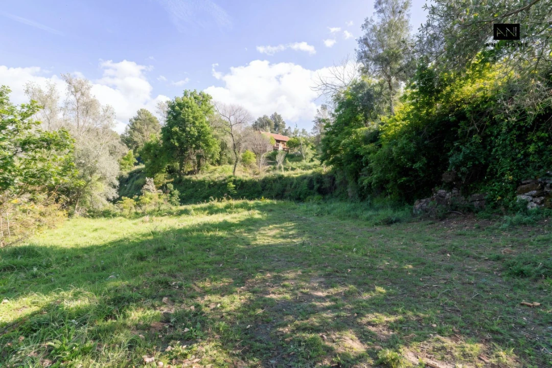 Terreno para Venda em Rio Caldo Foto 22