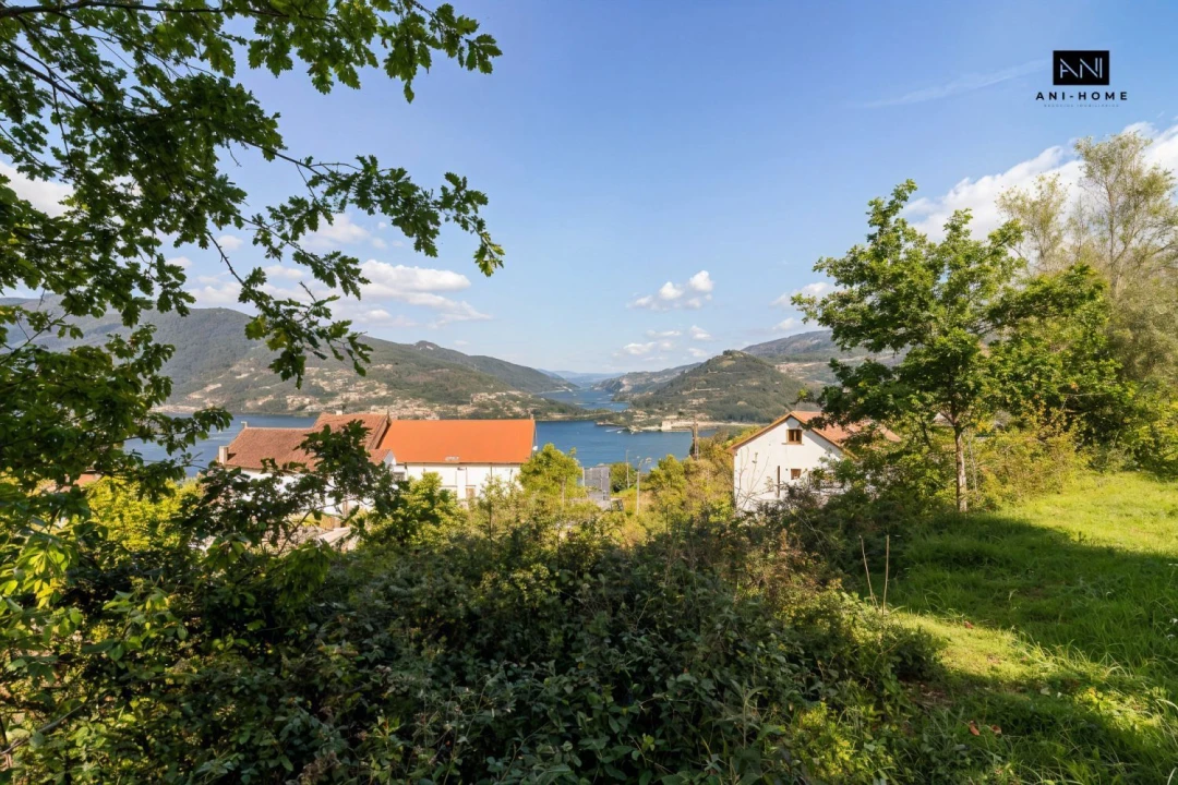 Terreno para Venda em Rio Caldo Foto 21