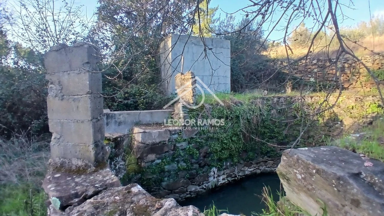 Terreno para Venda em Escalos de Baixo e Mata Foto 8