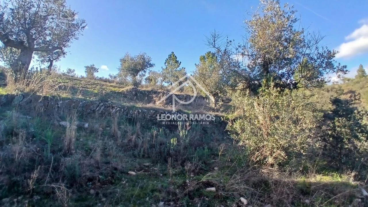 Terreno para Venda em Escalos de Baixo e Mata Foto 20
