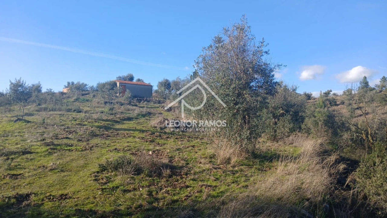 Terreno para Venda em Escalos de Baixo e Mata Foto 3