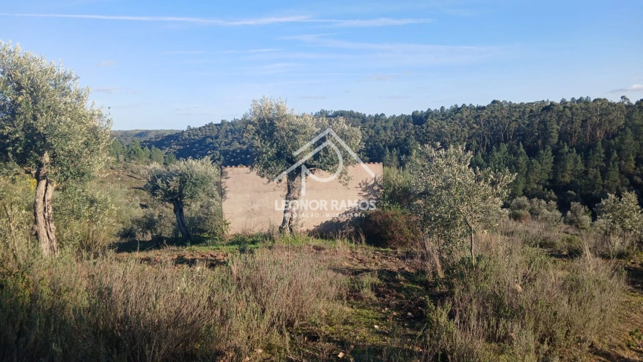 Terreno para Venda em Escalos de Baixo e Mata Foto 32