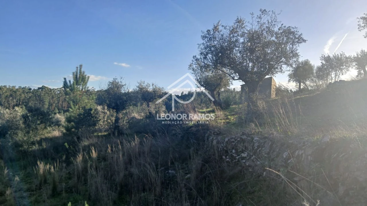 Terreno para Venda em Escalos de Baixo e Mata Foto 24