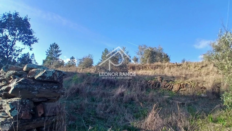 Terreno para Venda em Escalos de Baixo e Mata Foto 19