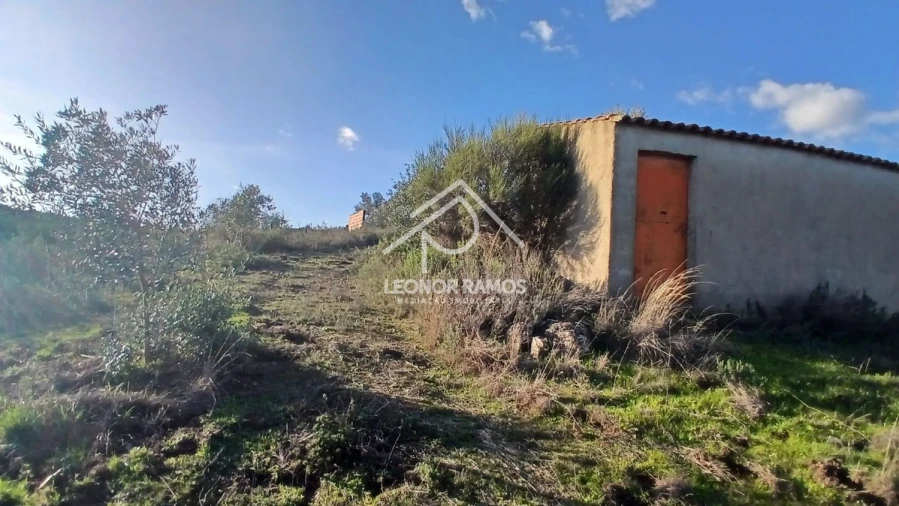 Terreno para Venda em Escalos de Baixo e Mata Foto 27