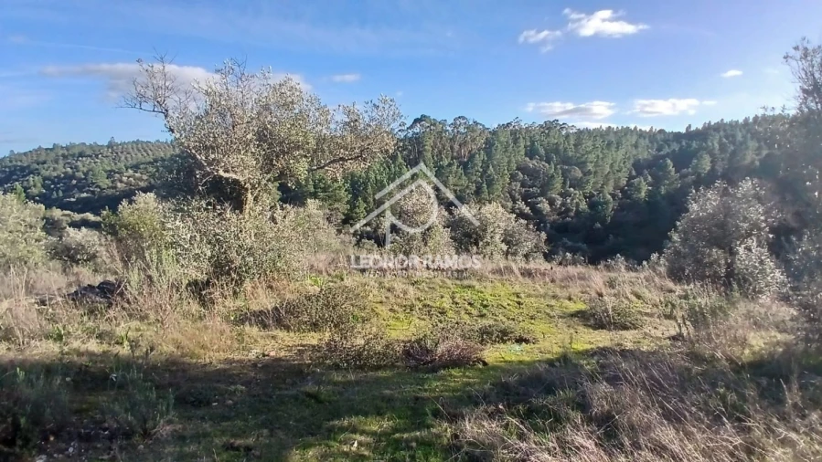 Terreno para Venda em Escalos de Baixo e Mata Foto 4