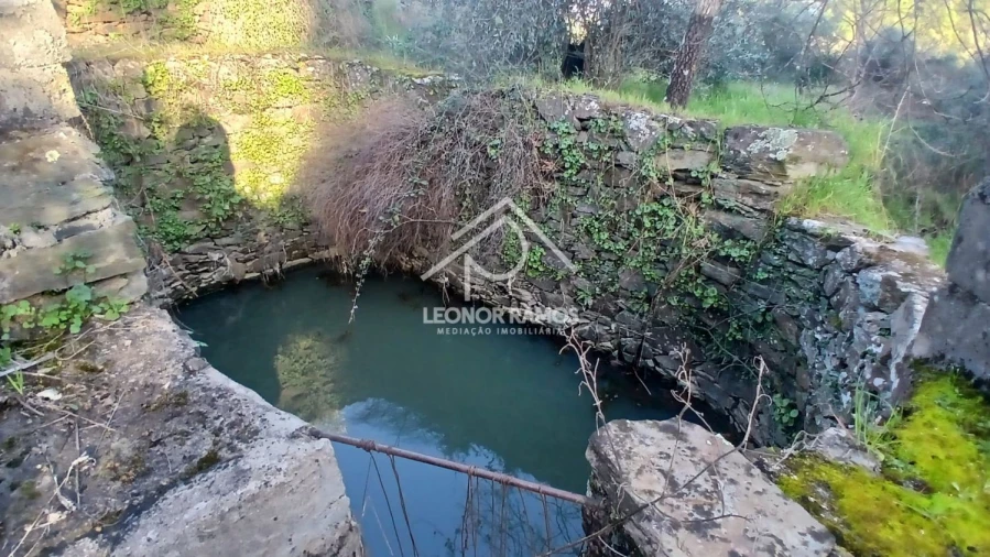 Terreno para Venda em Escalos de Baixo e Mata Foto 9