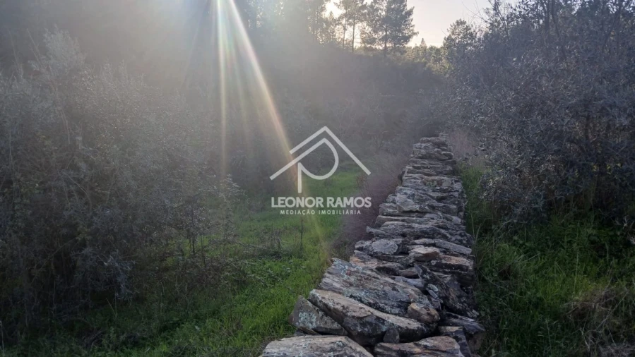 Terreno para Venda em Escalos de Baixo e Mata Foto 15