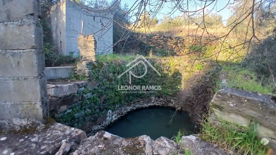 Terreno para Venda em Escalos de Baixo e Mata Foto 34