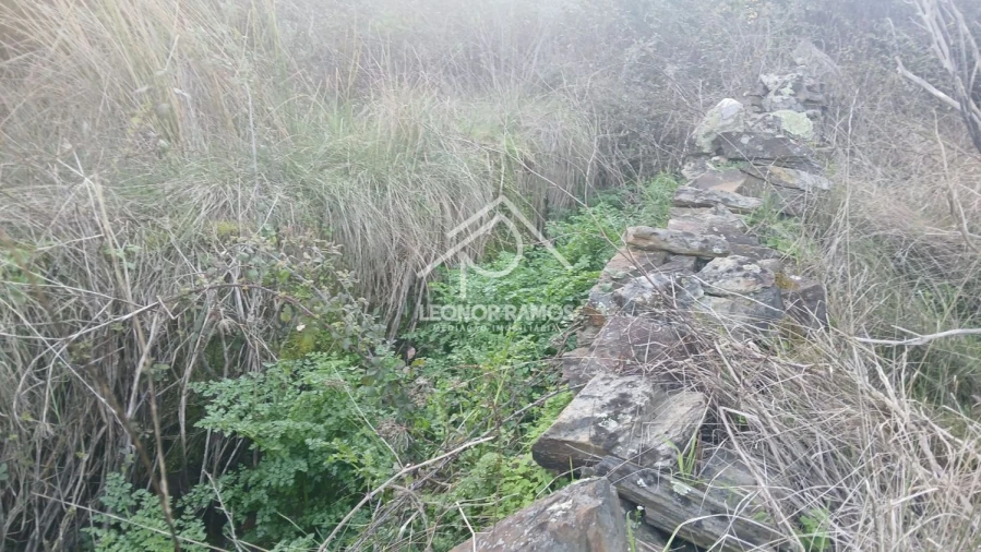 Terreno para Venda em Escalos de Baixo e Mata Foto 12