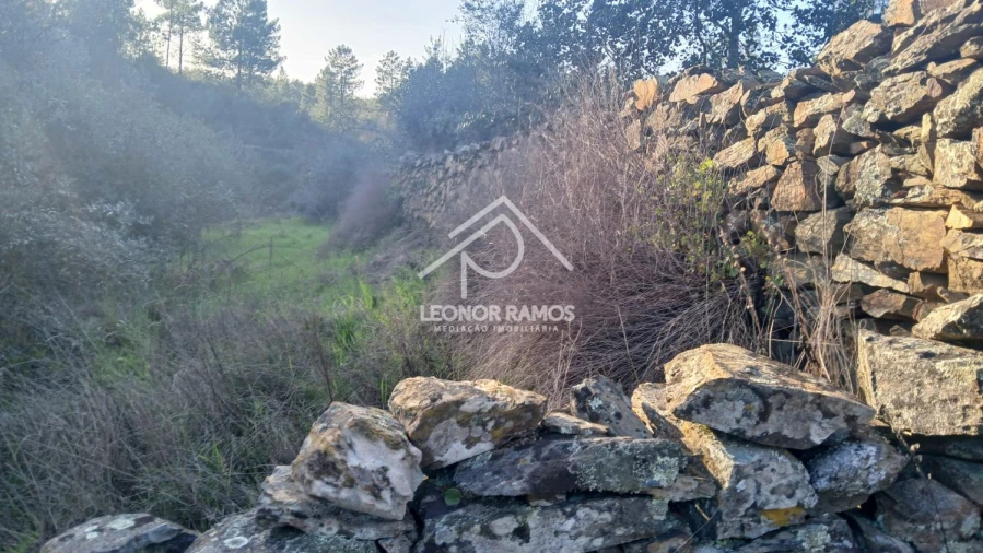 Terreno para Venda em Escalos de Baixo e Mata Foto 16