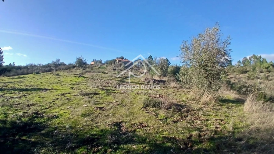 Terreno para Venda em Escalos de Baixo e Mata Foto 1