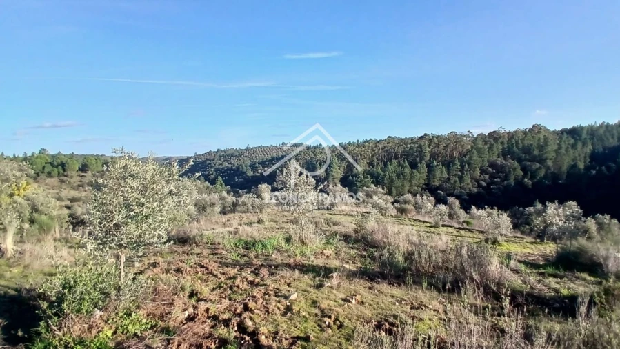 Terreno para Venda em Escalos de Baixo e Mata Foto 30