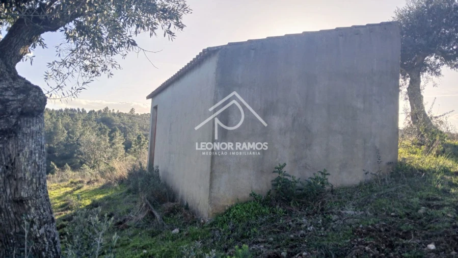 Terreno para Venda em Escalos de Baixo e Mata Foto 25