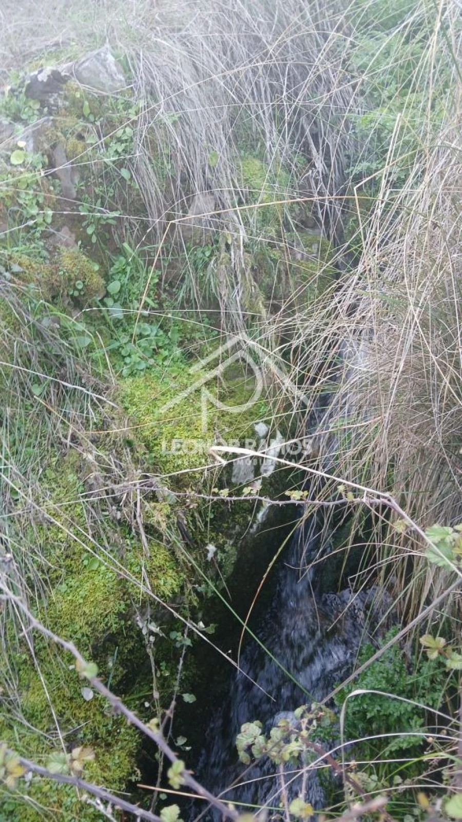 Terreno para Venda em Escalos de Baixo e Mata Foto 14