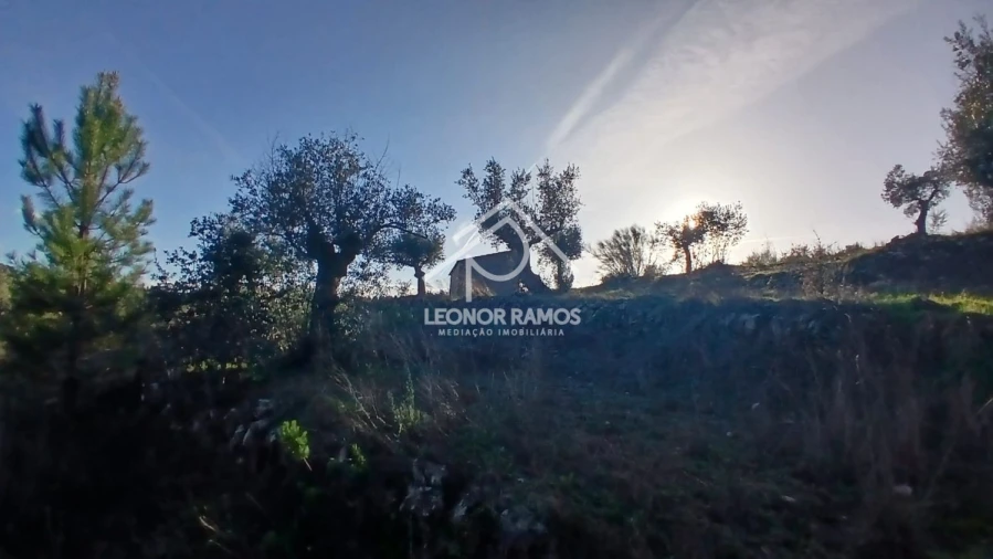 Terreno para Venda em Escalos de Baixo e Mata Foto 22