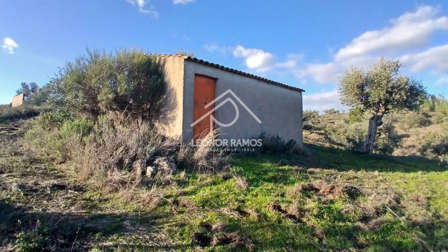 Terreno para Venda em Escalos de Baixo e Mata Foto 28