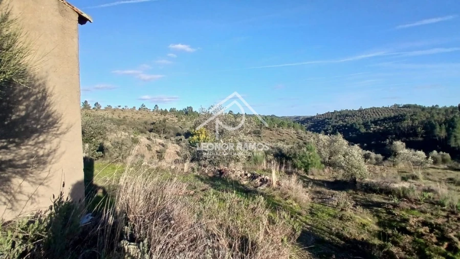 Terreno para Venda em Escalos de Baixo e Mata Foto 29