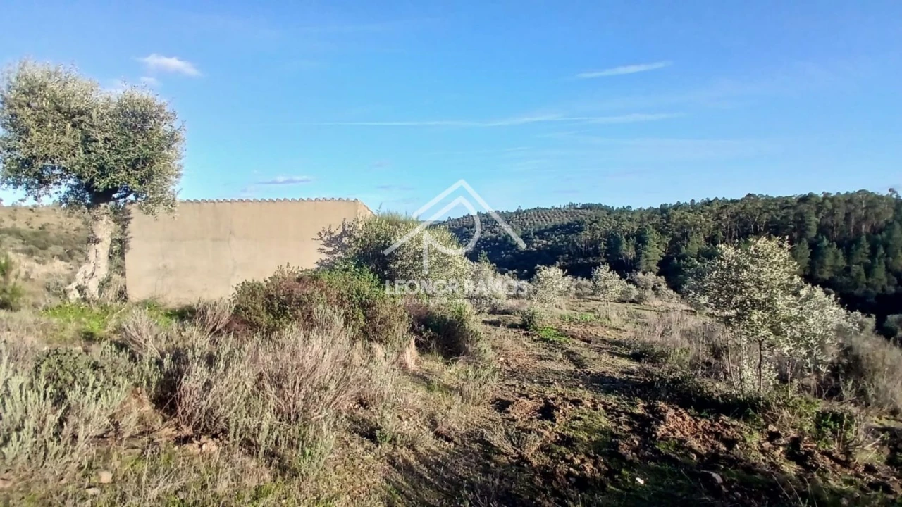 Terreno para Venda em Escalos de Baixo e Mata Foto 31