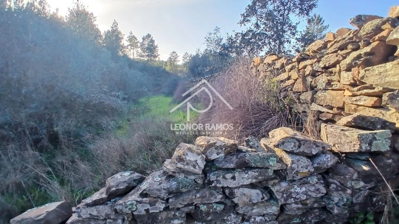 Terreno para Venda em Escalos de Baixo e Mata Foto 17