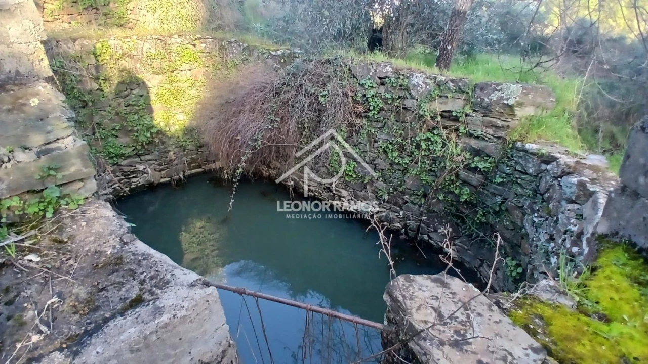 Terreno para Venda em Escalos de Baixo e Mata Foto 9