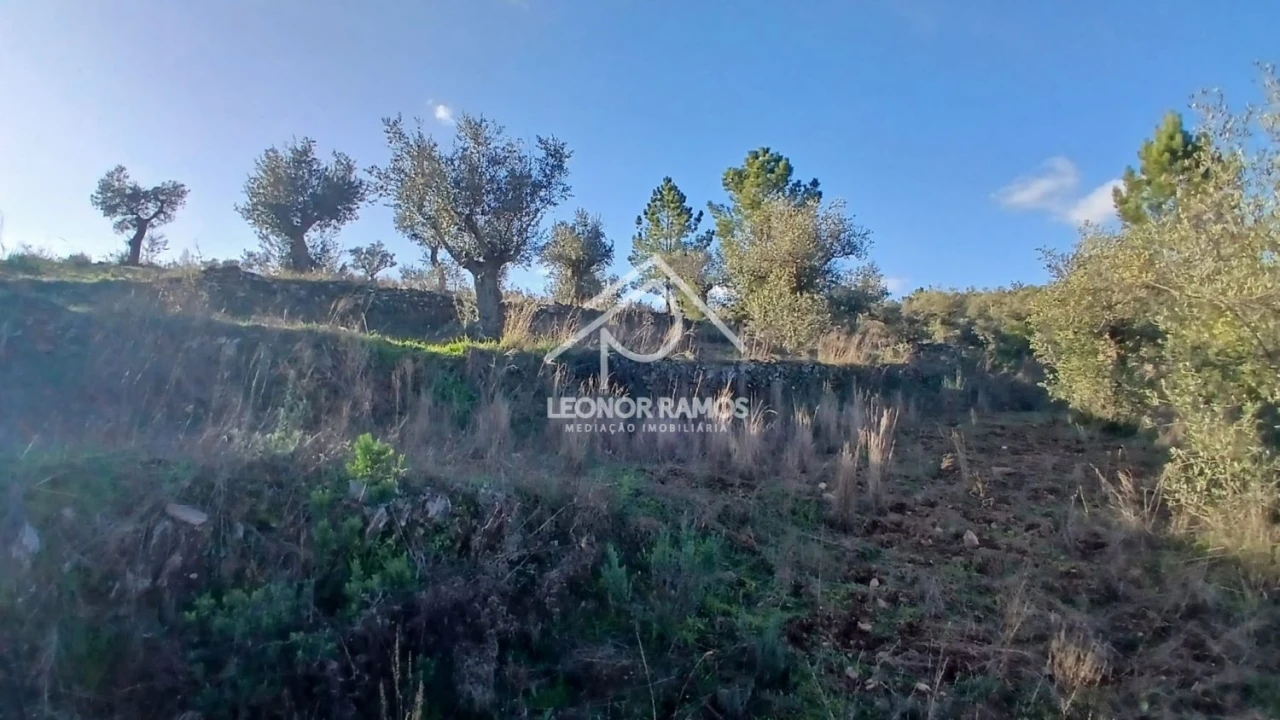 Terreno para Venda em Escalos de Baixo e Mata Foto 21