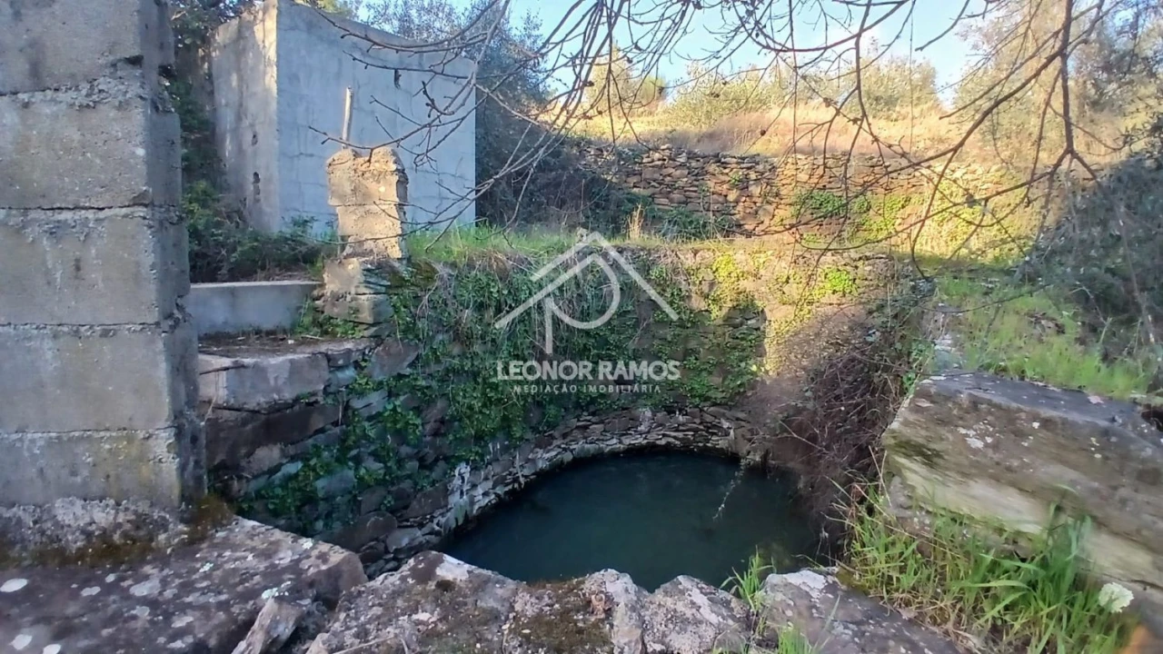 Terreno para Venda em Escalos de Baixo e Mata Foto 34
