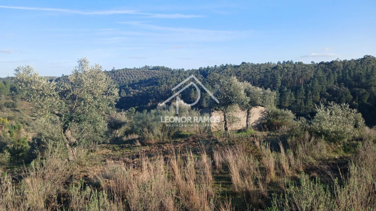 Terreno para Venda em Escalos de Baixo e Mata Foto 33
