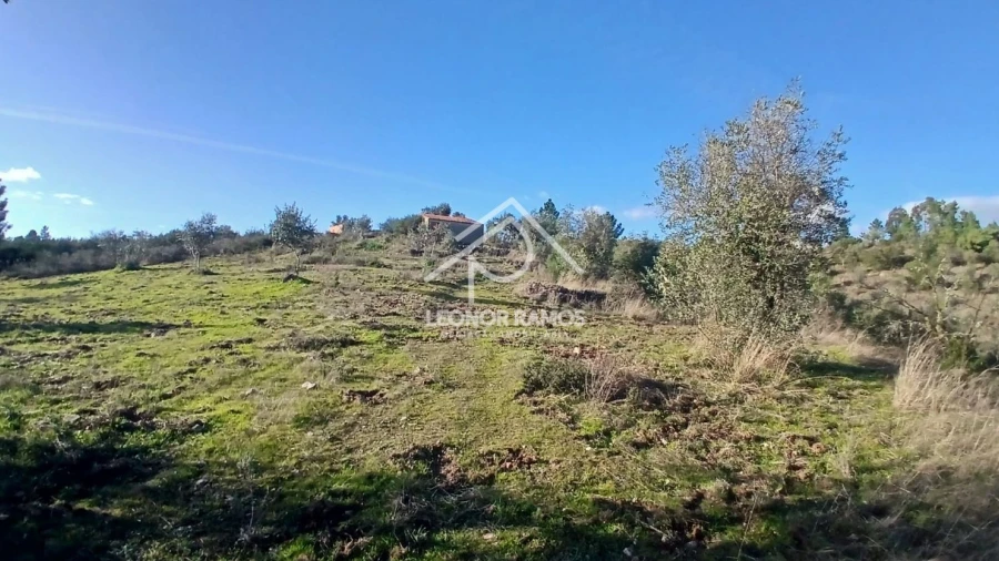 Terreno para Venda em Escalos de Baixo e Mata