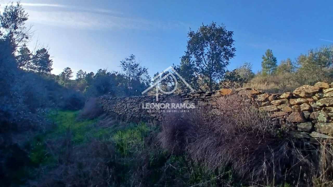 Terreno para Venda em Escalos de Baixo e Mata Foto 18