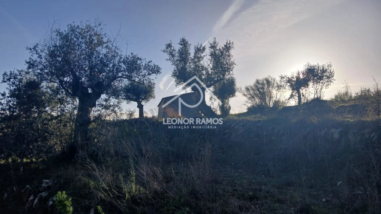 Terreno para Venda em Escalos de Baixo e Mata Foto 23