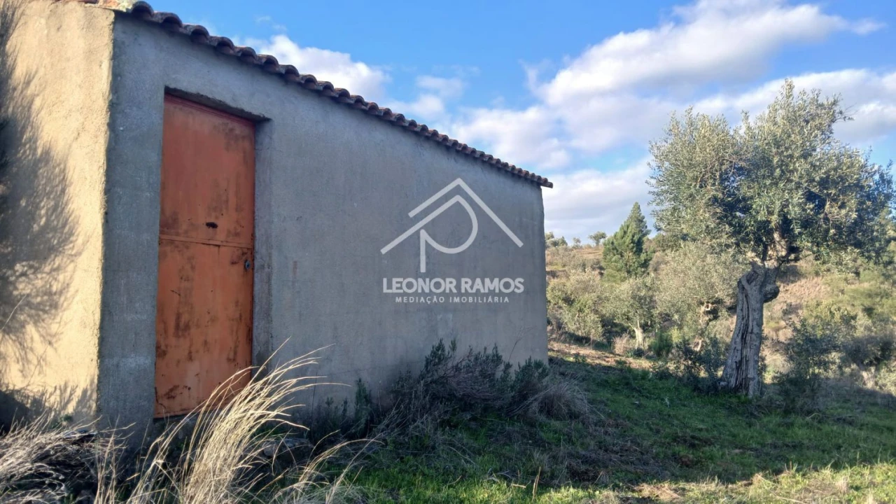 Terreno para Venda em Escalos de Baixo e Mata Foto 26