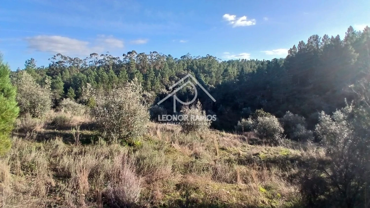 Terreno para Venda em Escalos de Baixo e Mata Foto 6