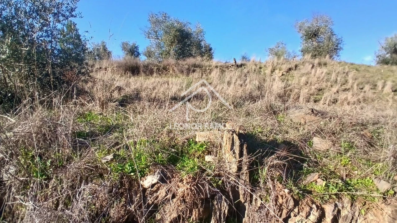 Terreno para Venda em Escalos de Baixo e Mata Foto 7