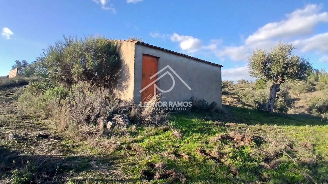 Terreno para Venda em Escalos de Baixo e Mata Foto 28