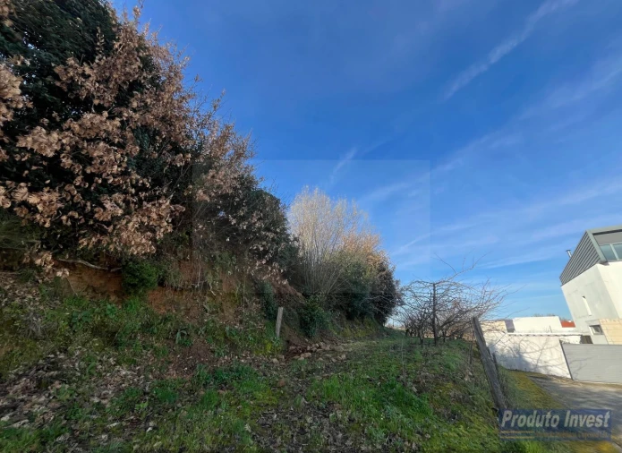 Quinta T5 para Venda em Fundão, Valverde, Donas, A. Joanes, A. Nova Cabo Foto 18