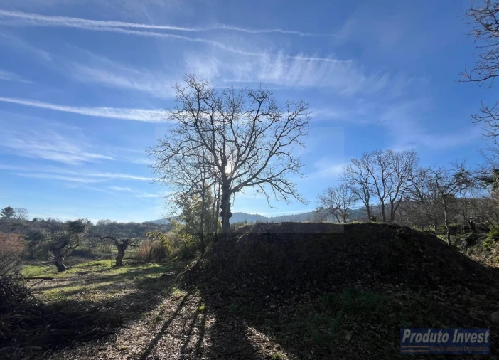 Quinta T5 para Venda em Fundão, Valverde, Donas, A. Joanes, A. Nova Cabo Foto 15
