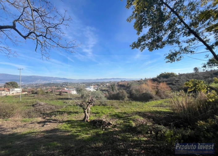 Quinta T5 para Venda em Fundão, Valverde, Donas, A. Joanes, A. Nova Cabo Foto 16