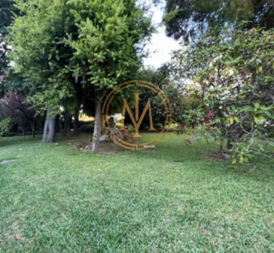 Moradia T3 para Venda em Lordelo do Ouro e Massarelos Foto 44