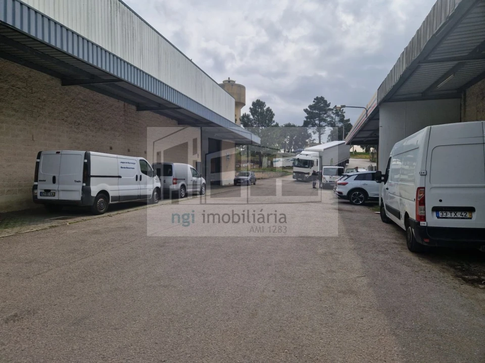 Loja para Arrendamento em Quinta do Anjo Foto 13