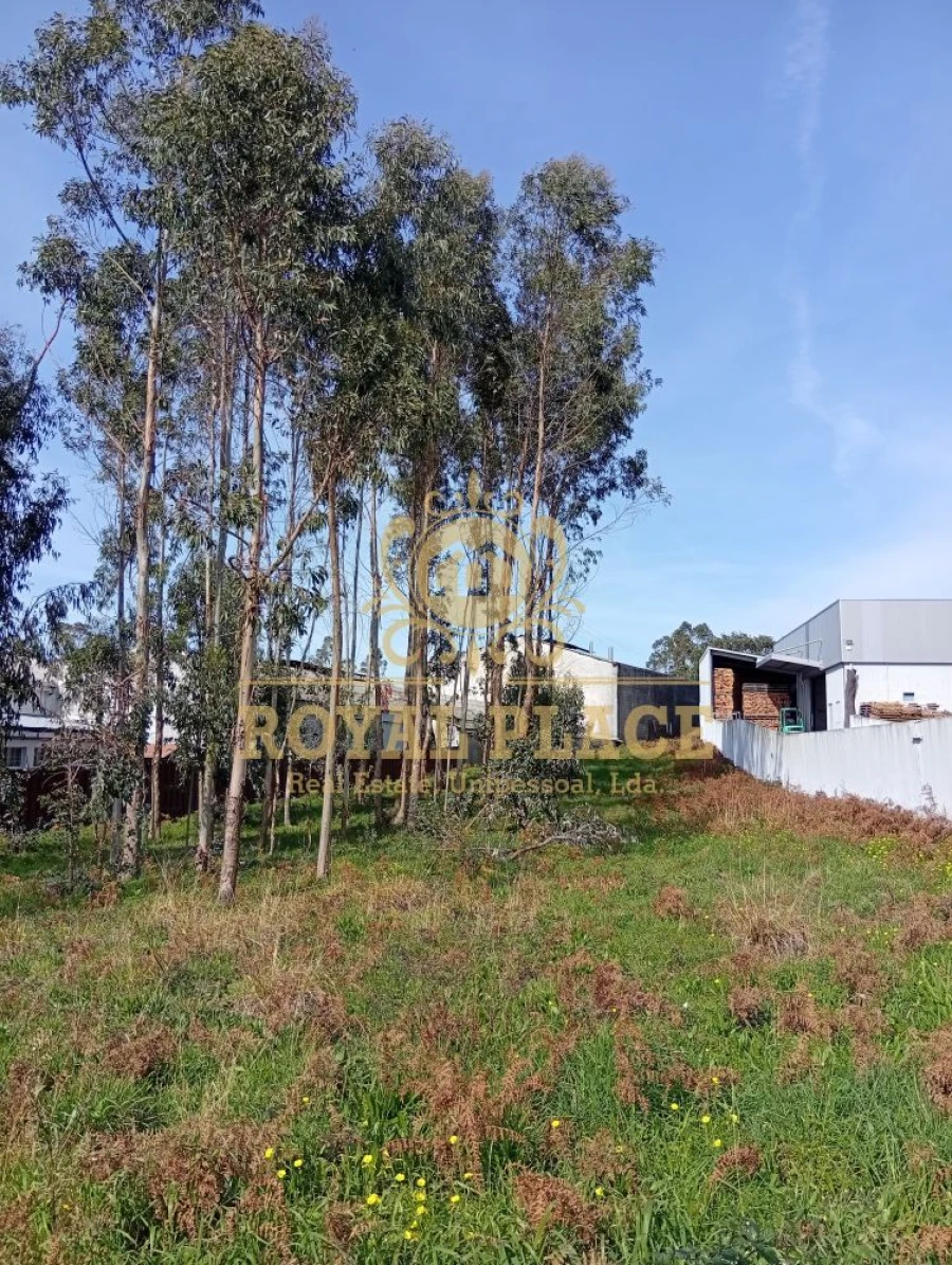 Terreno para Venda em Santa Maria de Lamas Foto 13