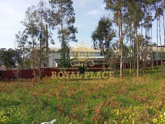 Terreno para Venda em Santa Maria de Lamas Foto 15