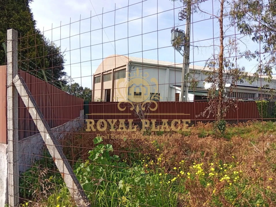 Terreno para Venda em Santa Maria de Lamas Foto 10