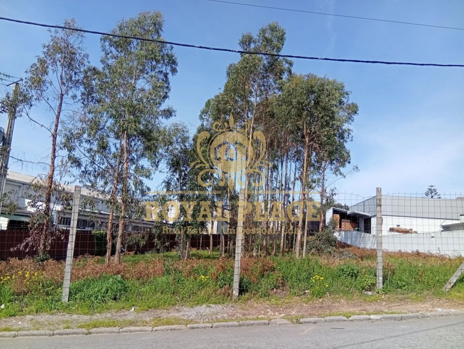 Terreno para Venda em Santa Maria de Lamas Foto 8